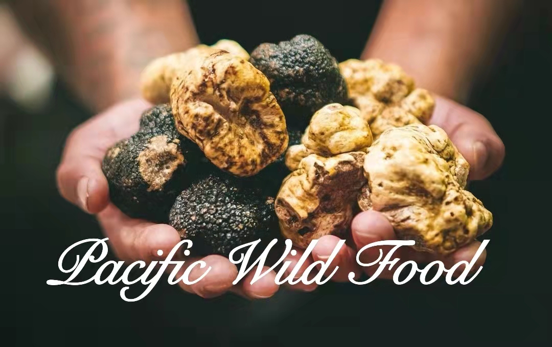 C&F Wild Food Ltd C&F Wild Food Ltd